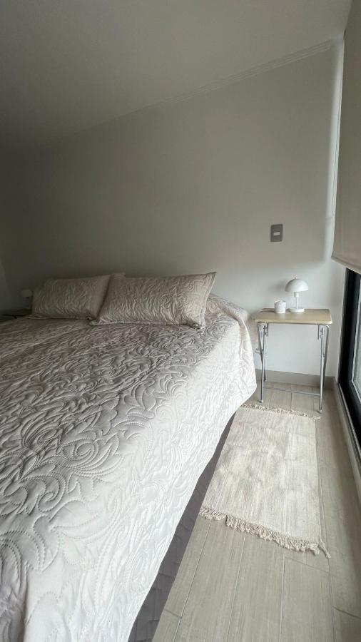 Apartamento Departamento Entero, Cerca Plaza Egana, Estacionamiento Gratis *