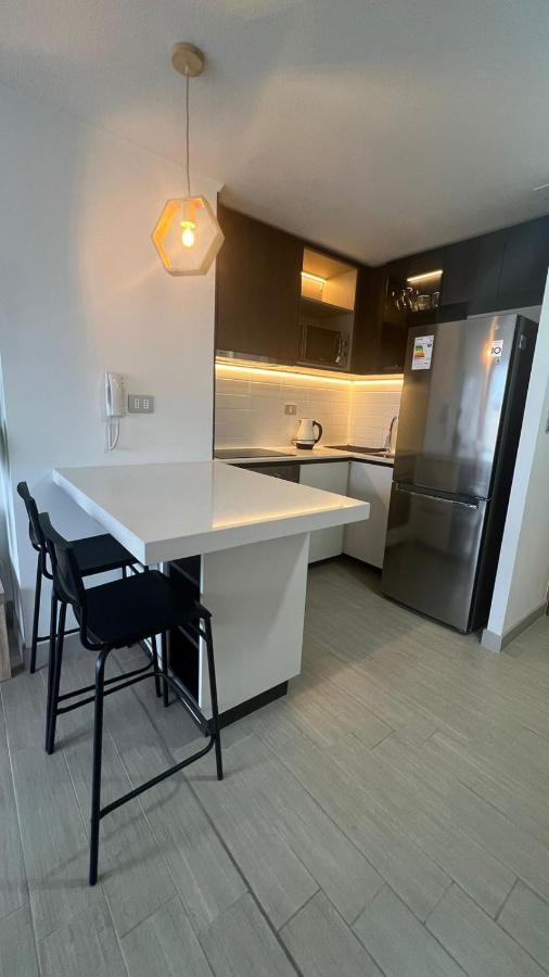Apartamento Departamento Entero, Cerca Plaza Egana, Estacionamiento Gratis Santiago